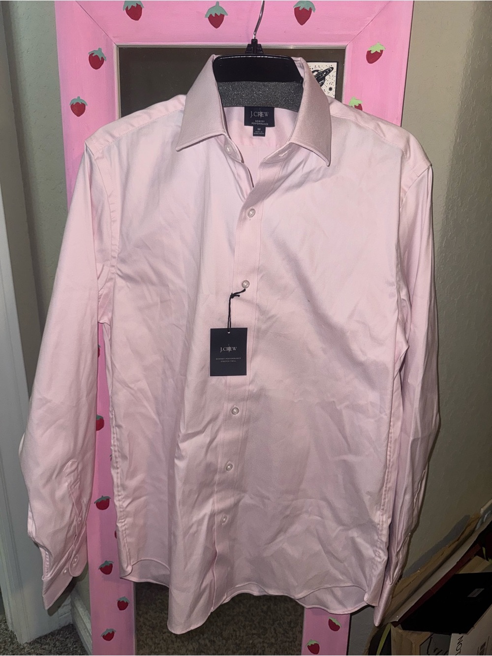NWT J. Crew Men's Light Pink Long-Sleeve Dress Shirt SZ M